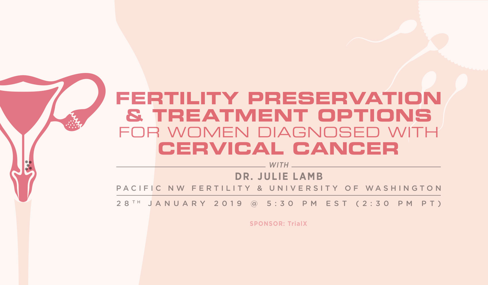 Fertility Preservation and Treatment Options for Women Diagnosed with Cervical Cancer