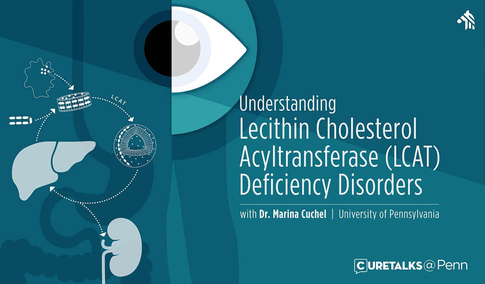 Understanding Lecithin Cholesterol Acyltransferase (LCAT) Deficiency Disorders 