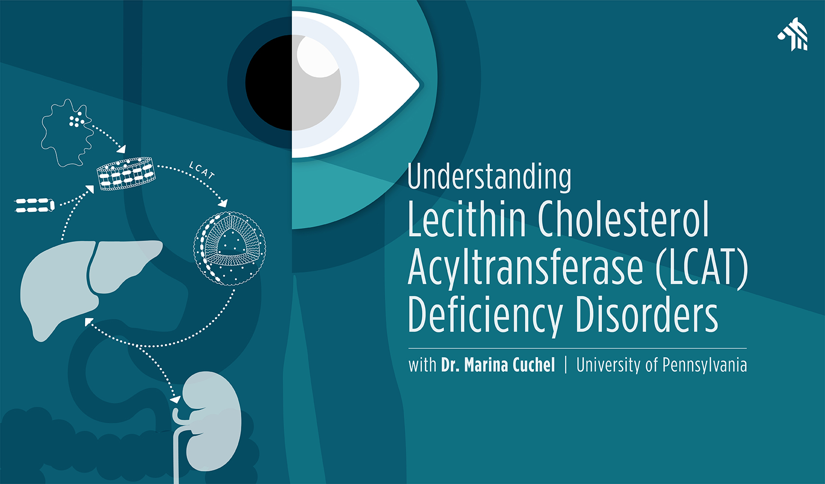 Understanding Lecithin Cholesterol Acyltransferase (LCAT) Deficiency Disorders 